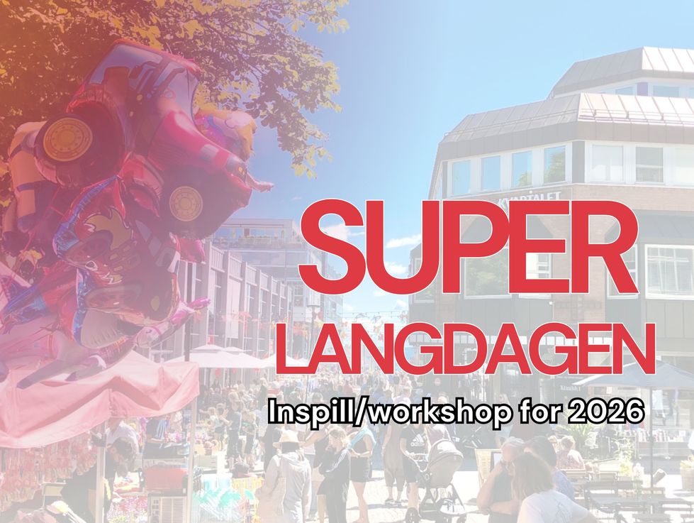 Innspill til Superlangdagen 2026